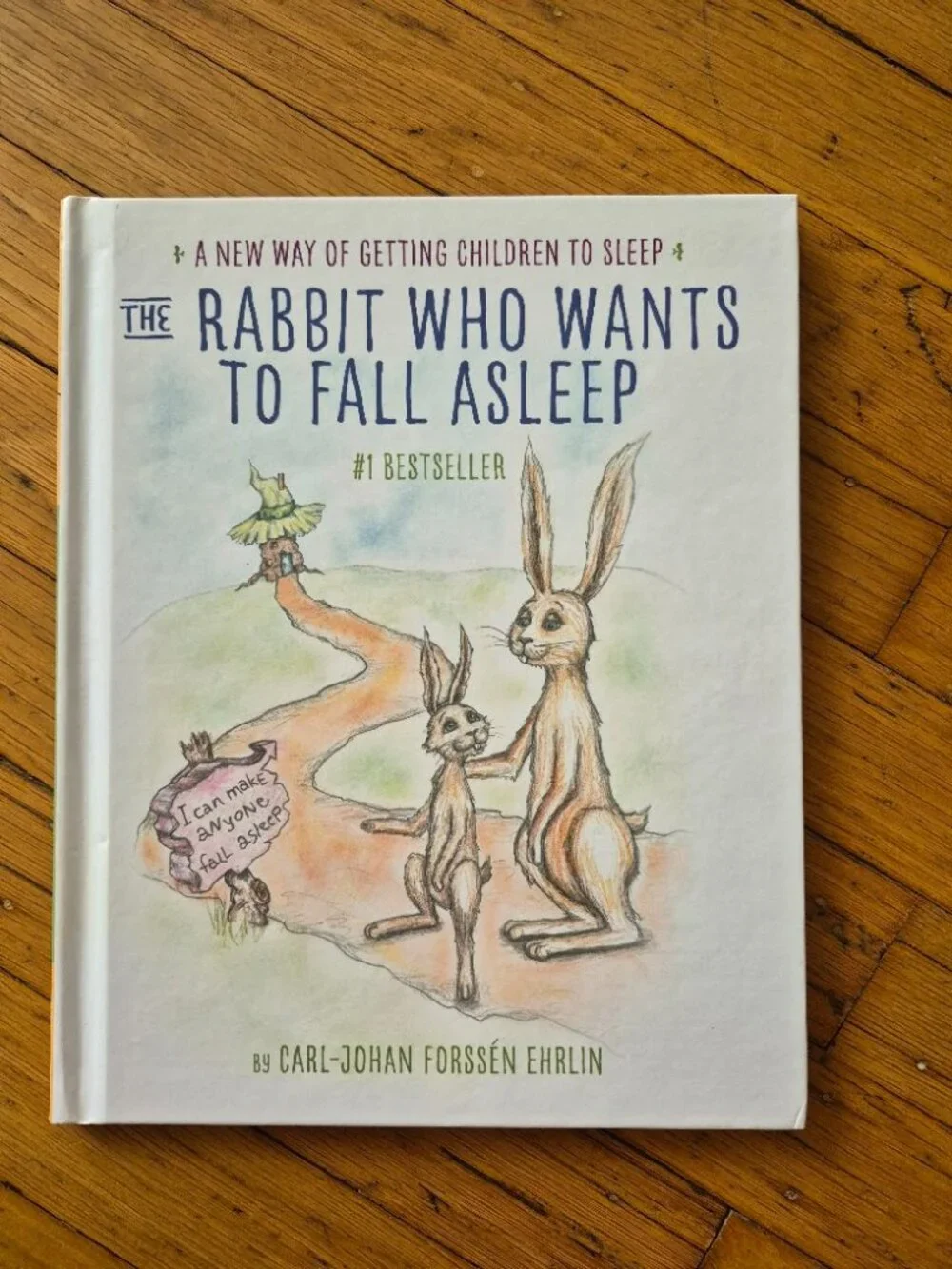 The Rabbit Who Wants to Fall Asleep